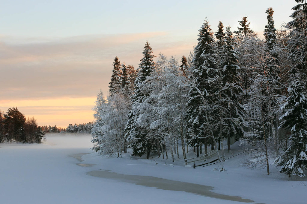 Paysage nordique